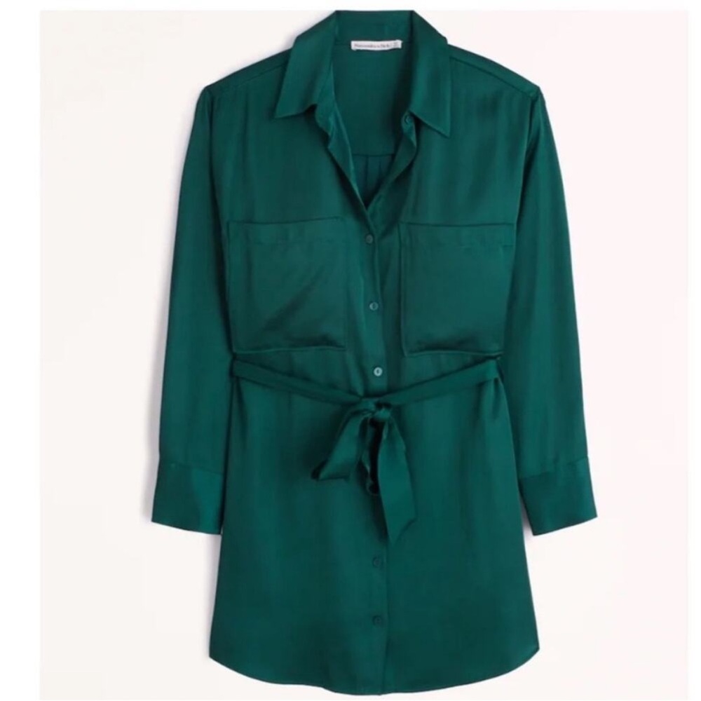 Abercrombie and Fitch satin shirt dress - Picture 15 of 16
